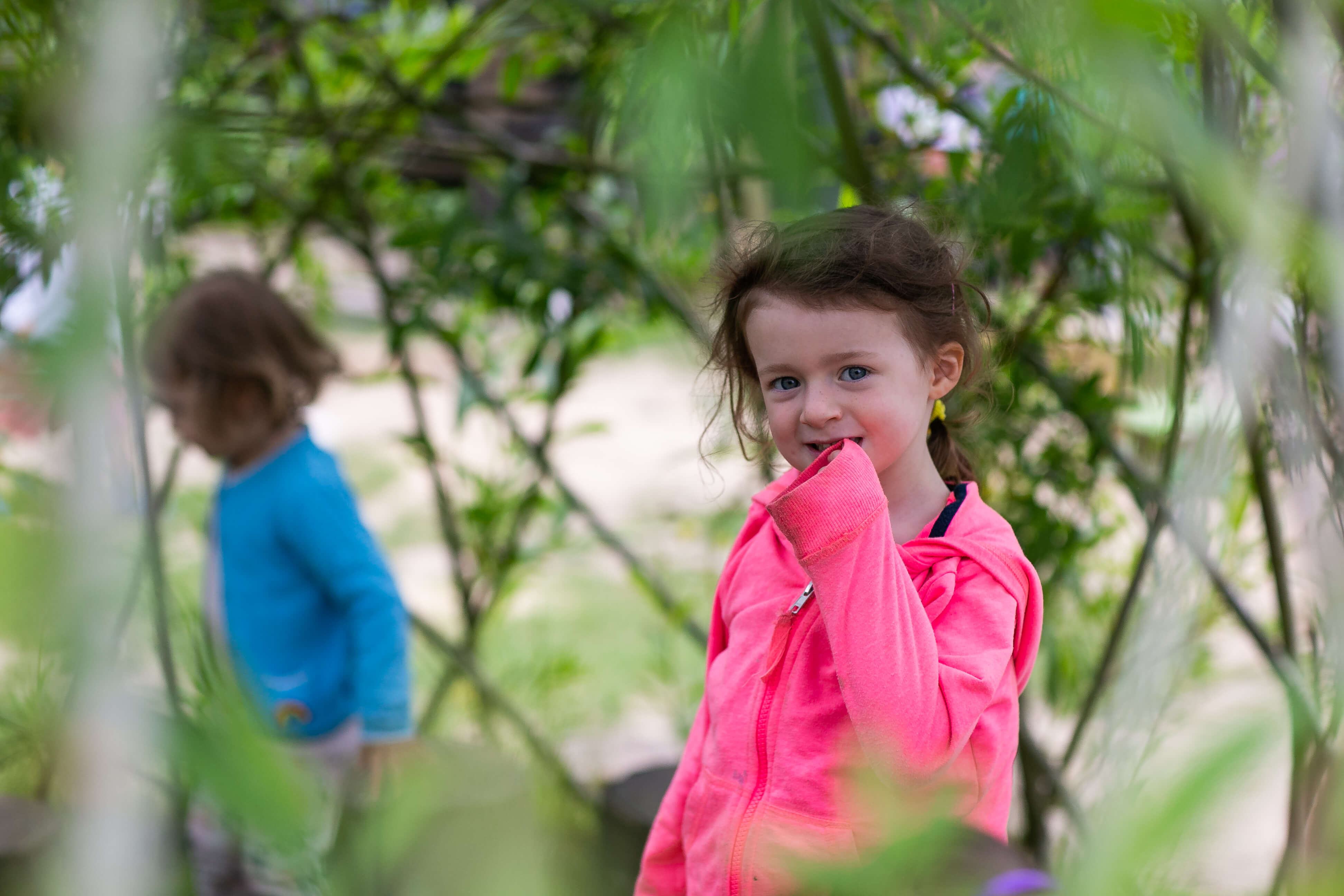 Cheeky Monkeys